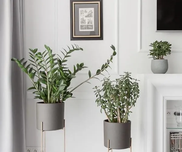 Luksusowy Hercena7 W Sercu Miasta ヴロツワフ