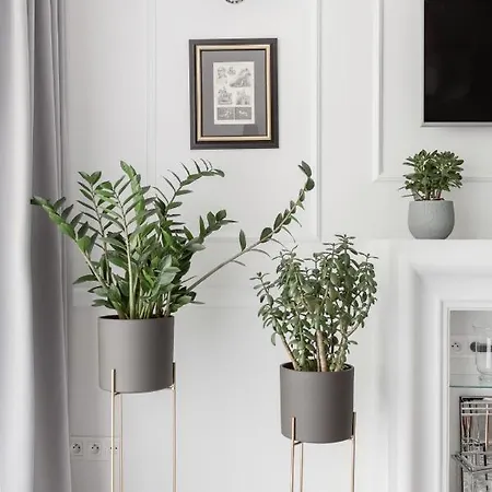 Luksusowy Hercena7 W Sercu Miasta Vratislav